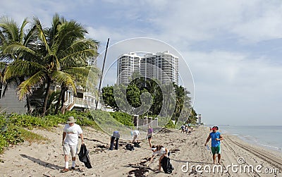 People Cleaning Up the Beach Editorial Stock Photo