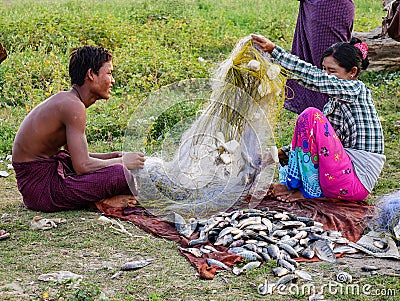 People collect fishes after catching in Mandalay, Myanmar Editorial Stock Photo