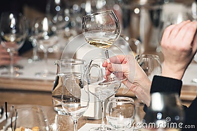 People consider the color of the wine and try how it smells in different glasses Stock Photo