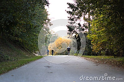 People cycling on a bicycling through a forest on a long road having fun. biker, biking, fall. landscape, healthy, fun, joy Editorial Stock Photo