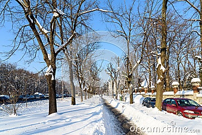 People Enjoying Sunny Winter Day Following A Strong Snow Storm In Downtown Bucharest City Editorial Stock Photo