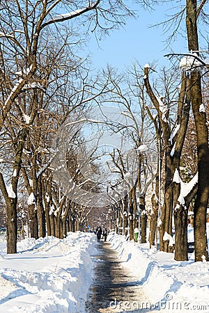 People Enjoying Sunny Winter Day Following A Strong Snow Storm In Downtown Bucharest City Editorial Stock Photo