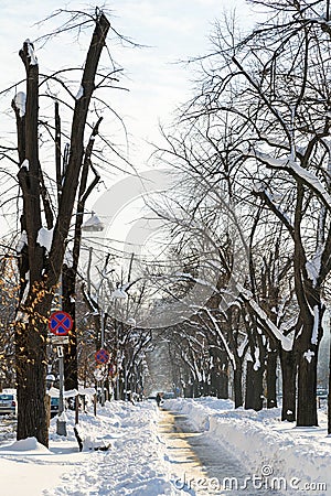 People Enjoying Sunny Winter Day Following A Strong Snow Storm In Downtown Bucharest City Editorial Stock Photo