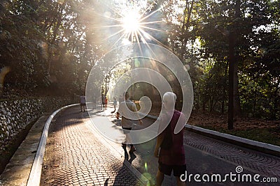 People exercise brisk walk in natural park with morning sun Editorial Stock Photo