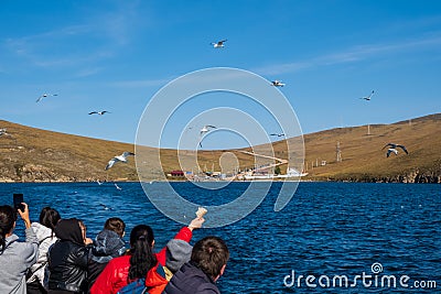 People feed seagulls from the ferry. Baikal Lake in autumn. Strait Olkhonskie Vorota and regular passenger ferry to the Editorial Stock Photo