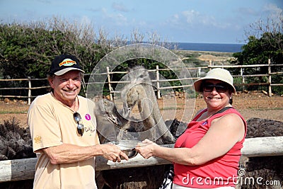 People feeding ostrich at aruba ostrich farm Editorial Stock Photo