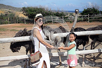 People feeding ostrich at aruba ostrich farm Editorial Stock Photo
