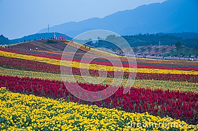 People and flower shapes Editorial Stock Photo