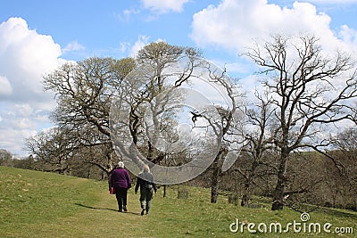 People footpath, Levens Hall Deer Park, Cumbria Stock Photo