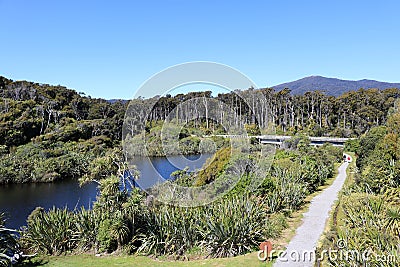 Footpath by Ship Creek, South Island, New Zealand Editorial Stock Photo