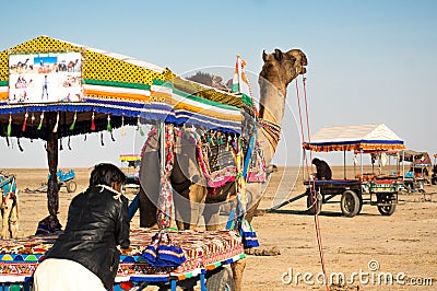 People getting onto colorful camel carts as other carts go in the distance Editorial Stock Photo