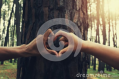 people hand hearts shape on tree Stock Photo