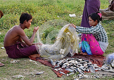 People harvesting fish in Mandalay, Myanmar Editorial Stock Photo