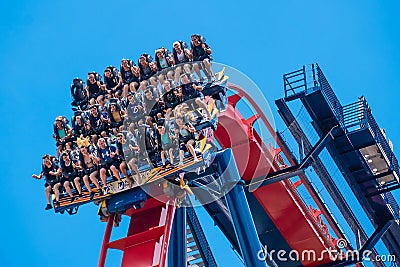 People having fun amazing Sheikra rollercoaster at Busch Gardens 7 Editorial Stock Photo