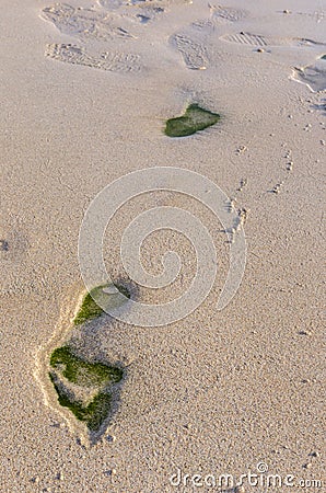 People leave tracks on sand beach El Cotillo, Fuerteventura, Can Stock Photo