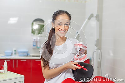 People, medicine, stomatology and healthcare concept - happy young female dentist holding a model of teeth and smiling Stock Photo