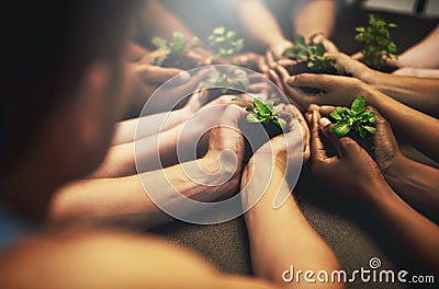 People, natural and plant for growth with hands, earth day with support for environment and nature recourses Stock Photo