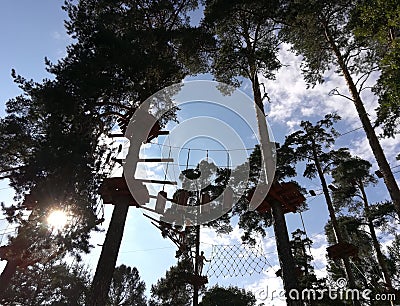 people pass an obstacle course in a rope park in the forest Stock Photo