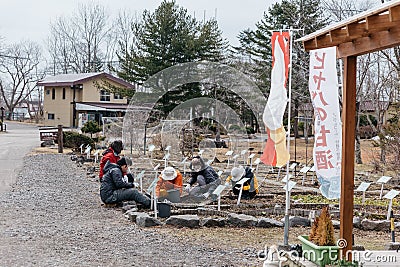 People plant many trees in the garden near Shiraoi Ainu Village Museum in Hokkaido, Japan Editorial Stock Photo