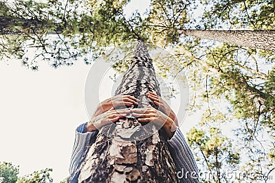 People protecting trees from deforestation concept with couple of senior caucasian hands hugging with love a pine in the wood - Stock Photo