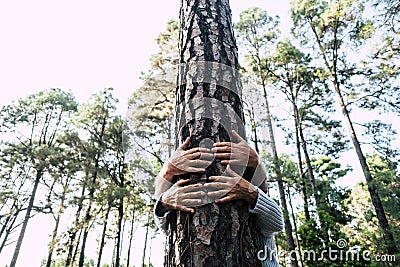 Save the planet and forest with couple of senior adult hands hugging a tree in the wood - love for outdoors and nature - earth`s Stock Photo