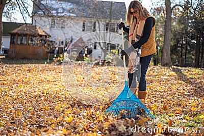 People raking leaves Stock Photo