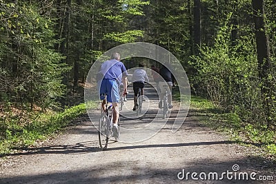People riding bikes on a forest trail Editorial Stock Photo
