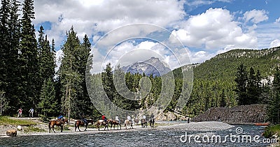 People riding horse s near river Editorial Stock Photo