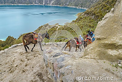 People Riding Mules at Road in Quilotoa Lake, Ecuador Editorial Stock Photo