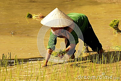 People of Sapa in Vietnam Editorial Stock Photo