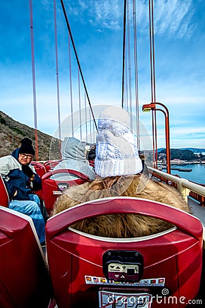 People sit on Big Bus Tour for sightseeing Golden Gate Bridge. Editorial Stock Photo