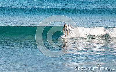 People surfers rides the sea wave. Extreme sport and hobby concept Editorial Stock Photo