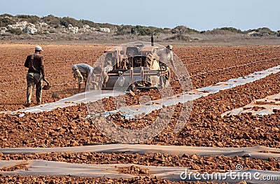 People with tractor harrowing the field during cultivation agriculture works Editorial Stock Photo