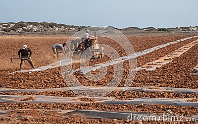 People with tractor harrowing the field during cultivation agriculture works Editorial Stock Photo