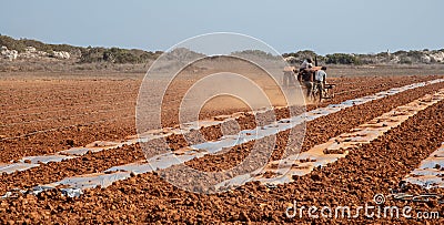 People with tractor harrowing the field during cultivation agriculture works Editorial Stock Photo