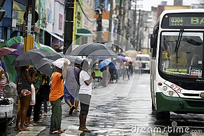People using rain umbrella in salvador Editorial Stock Photo