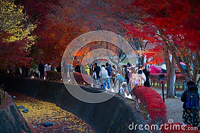 People visit the Fuji Kawaguchiko Autumn Leaves Festival Editorial Stock Photo