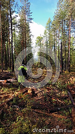 People walk along a trail in the Siberian taiga. Geologists are following the forest route Stock Photo