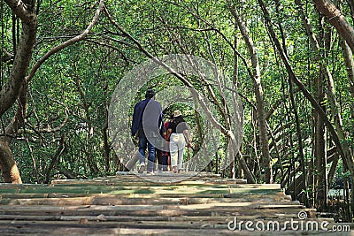 people walking on bamboo path at mangrove forest Editorial Stock Photo