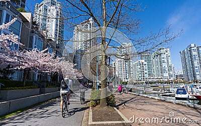 People walking and cycling on downtown seawall in springtime. Vancouver city, BC, Canada Editorial Stock Photo