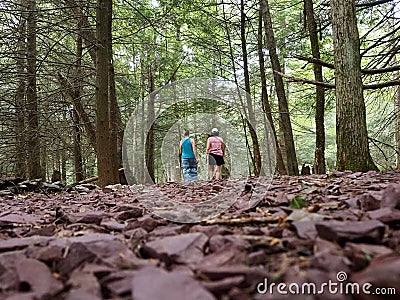 People Walking in Forest for Health Stock Photo