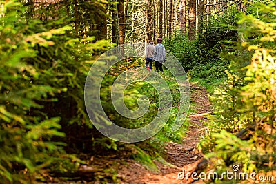 People walking on a hike path in a deep forest in table mountain Stock Photo