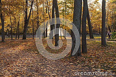 people are walking inside Petergof palace park Editorial Stock Photo