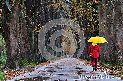 People walking in long alley at fall autumn sesson Stock Photo