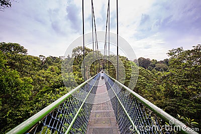 People Walking over the forest through a tree top walk in Singapore Stock Photo