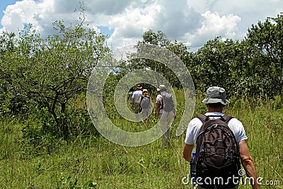 People on Walking Safari Editorial Stock Photo