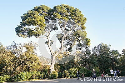 People walking under the trees. Editorial Stock Photo