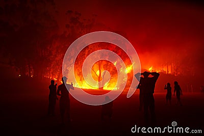 People watching forest fire in night Stock Photo