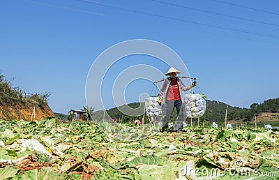 People working Editorial Stock Photo