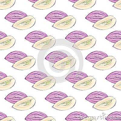 Pepino melon. Seamless pattern with fruits. Hand-drawn background. Vector illustration. Vector Illustration